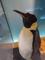 /home//u458753944/public_html/sourcegallery//other/uk 2023/london/IMG_20230919_152422605.jpg